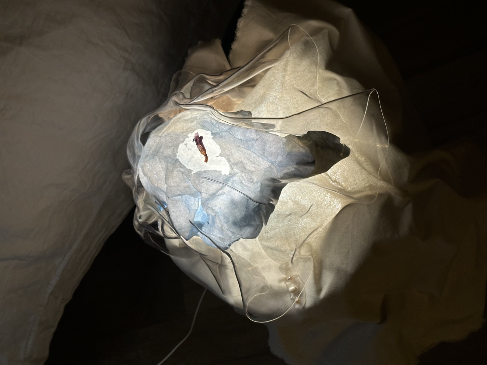 Experimentación lumínica 