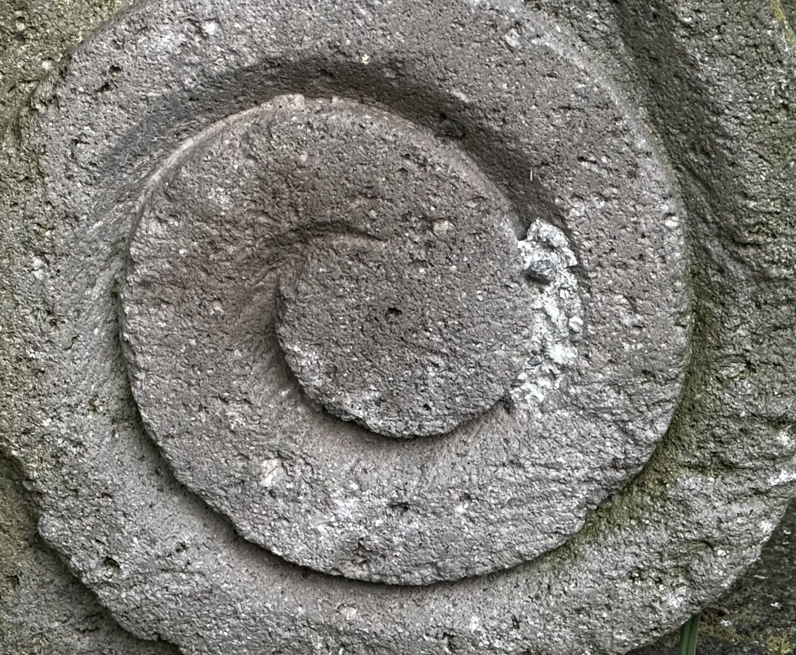 portafolio