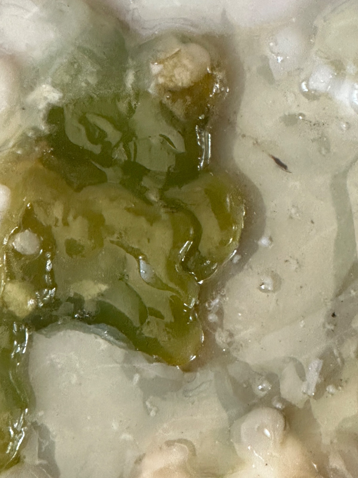 portafolio