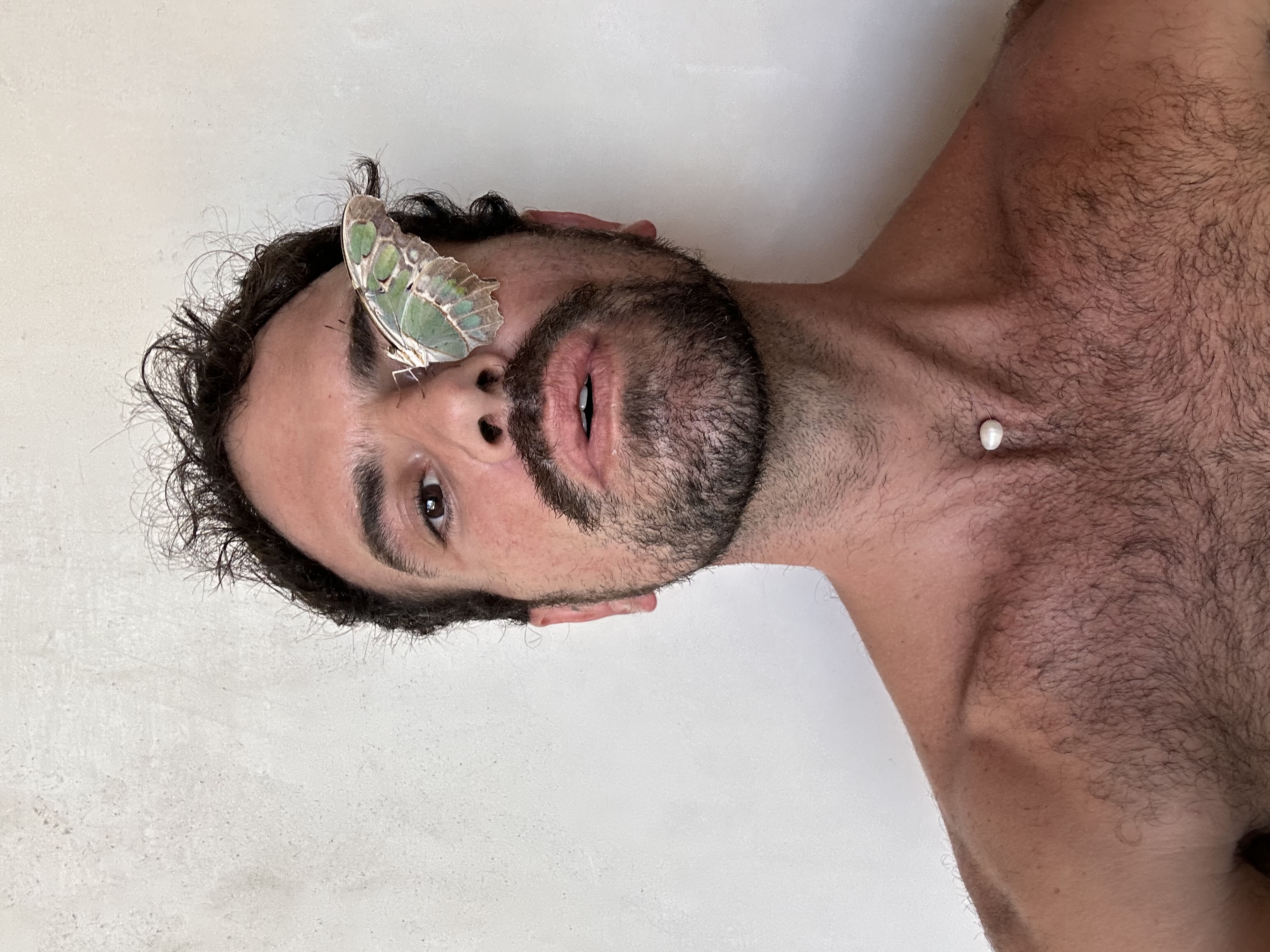 portafolio
