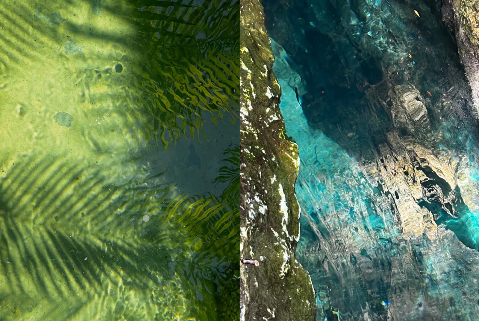 portafolio