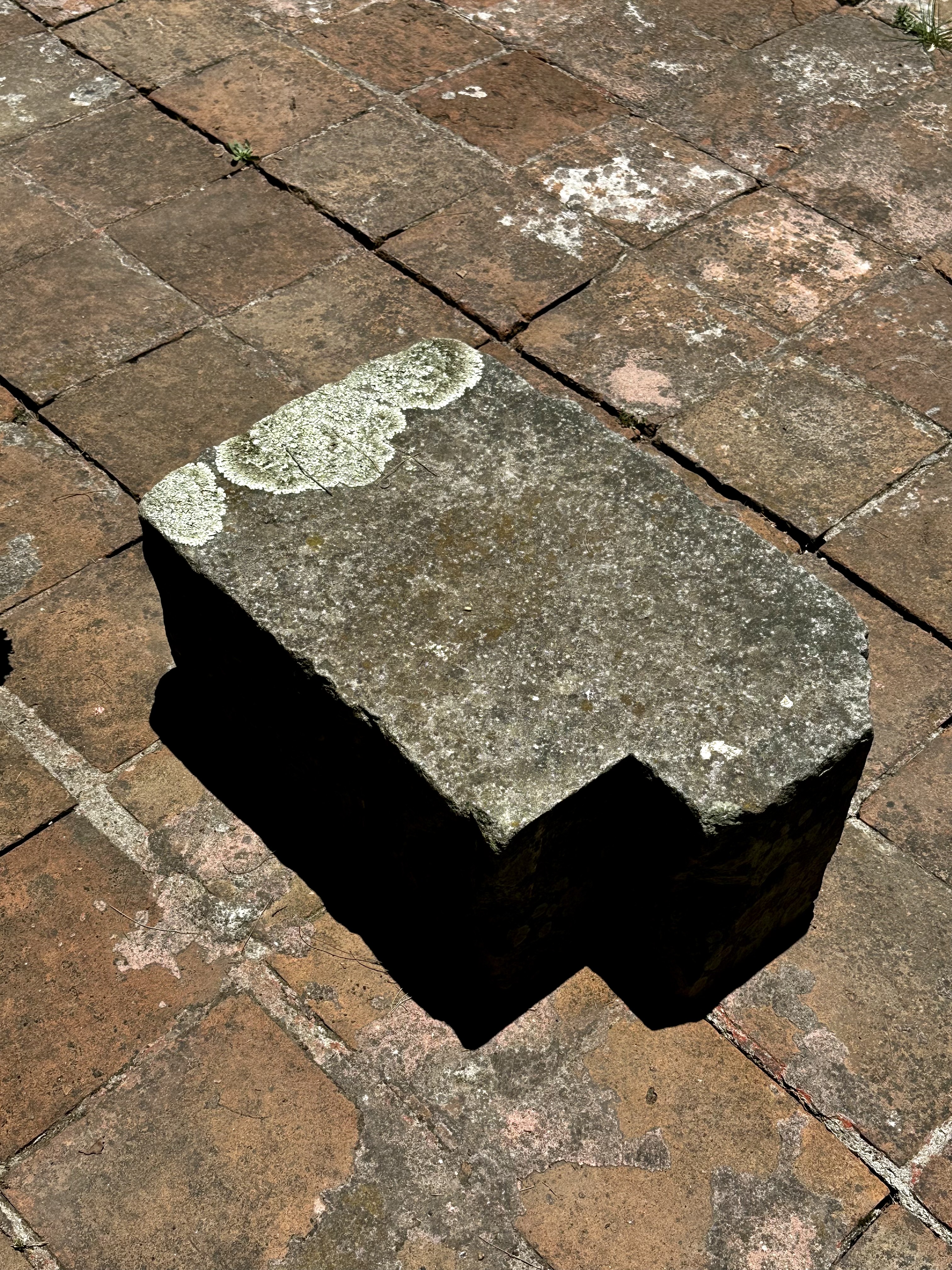 portafolio